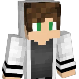 Hassan201 Minecraft avatar bust