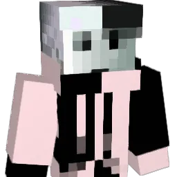 Hau_0808 Minecraft avatar bust