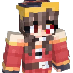 Haustuere Minecraft avatar bust