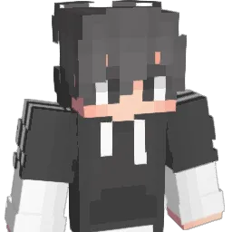 Have__A's Minecraft skin