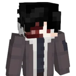 HaveaNiceLife_ Minecraft avatar bust
