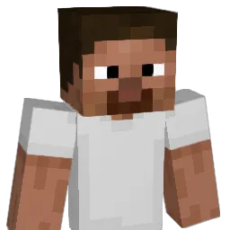 Havivi56 Minecraft avatar bust