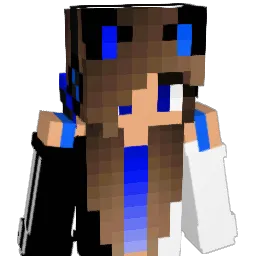 HavocW20 Minecraft avatar bust