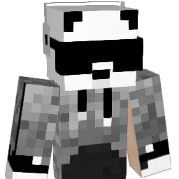 Havok2011 Minecraft avatar bust