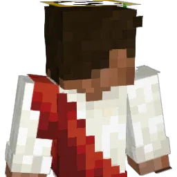 HawliGayra's Minecraft skin