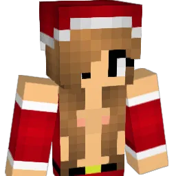 HaydenJ01 Minecraft avatar bust