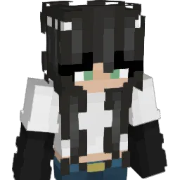 Hayisweird Minecraft avatar bust