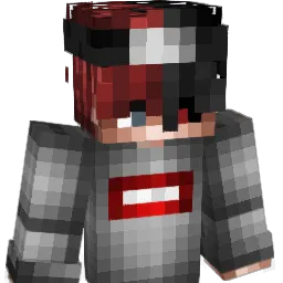 Heal2k19 Minecraft avatar bust