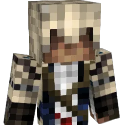 HealingFrog Minecraft avatar bust