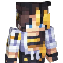 Heals_ Minecraft avatar bust