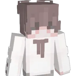 Healthiness Minecraft avatar bust