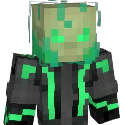 HeartlessReign Minecraft avatar bust
