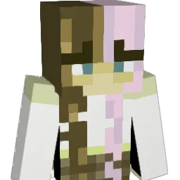 HeatPlayerED Minecraft avatar bust