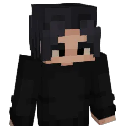HeiSleep Minecraft avatar bust