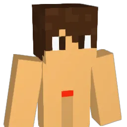 HeimeRz Minecraft avatar bust
