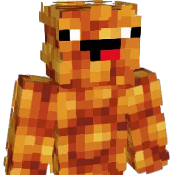 Hein_z Minecraft avatar bust