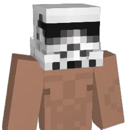 Heitorpg1644 Minecraft avatar bust