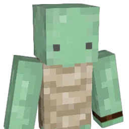 HelicopterTurtle