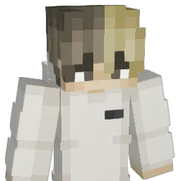 Heliomboxer11 Minecraft avatar bust