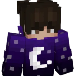 Helipsargo Minecraft avatar bust