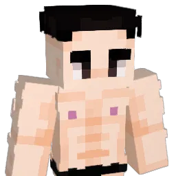 Heliux0705 Minecraft avatar bust