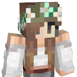 Henballs917 Minecraft avatar bust