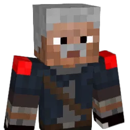 Henk55 Minecraft avatar bust