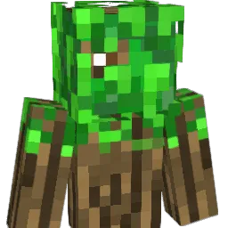 Henocko Minecraft avatar bust