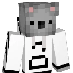 Henri_T Minecraft avatar bust