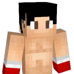 HernieMan93 Minecraft avatar bust