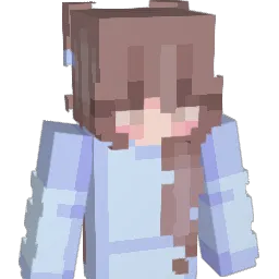 Heroes246 Minecraft avatar bust