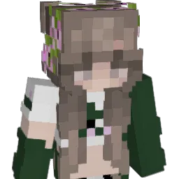 HerschelWJr Minecraft avatar bust