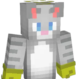 HeyItzDerpy Minecraft avatar bust