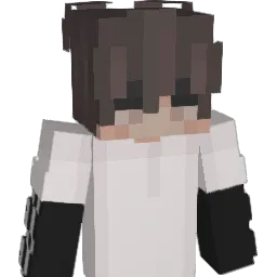 HeyyMeToo Minecraft avatar bust
