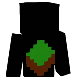 Hg_031 Minecraft avatar bust