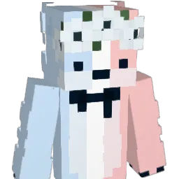 HiImJelly Minecraft avatar bust