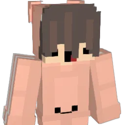 HiPoratoc Minecraft avatar bust