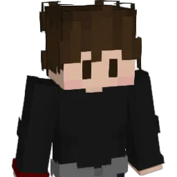 Hi_ImRei Minecraft avatar bust
