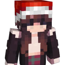 HibiscuS_333 Minecraft avatar bust