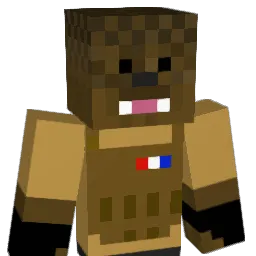 Hickforever11 Minecraft avatar bust