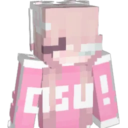 HiddenDoubleTime Minecraft avatar bust