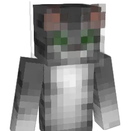 HiddenTalents Minecraft avatar bust