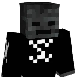 HimRae Minecraft avatar bust