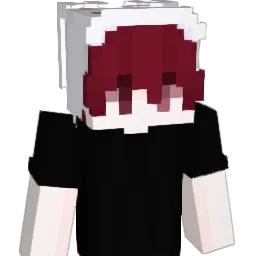 HimVox