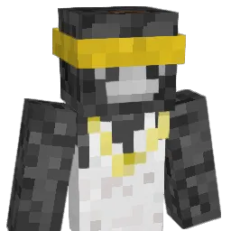 Him_fr12345 Minecraft avatar bust