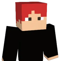 Himawashy Minecraft avatar bust