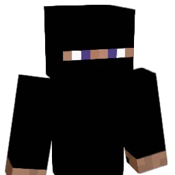Himesisgod Minecraft avatar bust