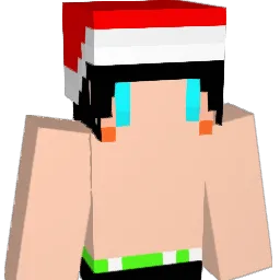 HimoG_17 Minecraft avatar bust