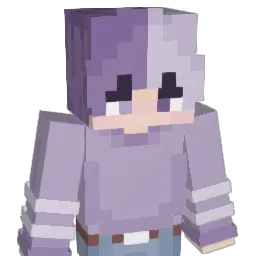 Hin24339 Minecraft avatar bust