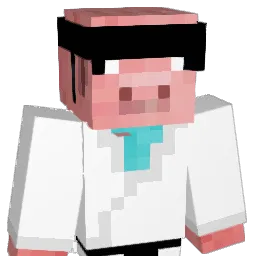 Hinsi_Master Minecraft avatar bust